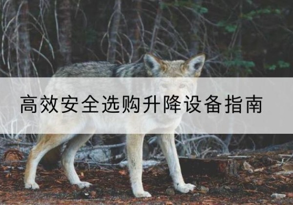 如东升降货梯厂家推荐-*安全选购升降设备指南
