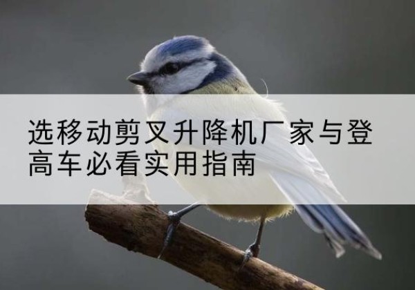 如东电动升降机厂家-选移动剪叉升降机厂家与登高车必看实用指南