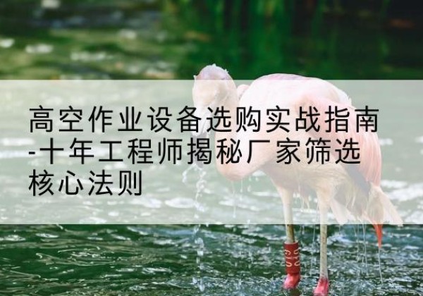 如东剪叉式升降机厂家-高空作业设备选购实战指南-十年工程师揭秘厂家筛选核心法则